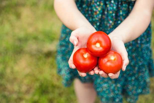 Tomatoes