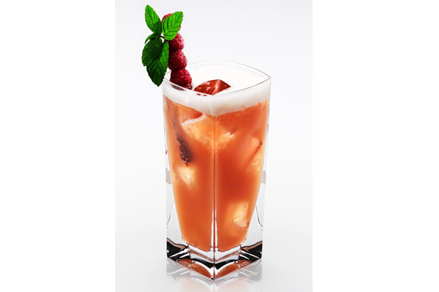 The Strawberry Lime Rickey Cocktail