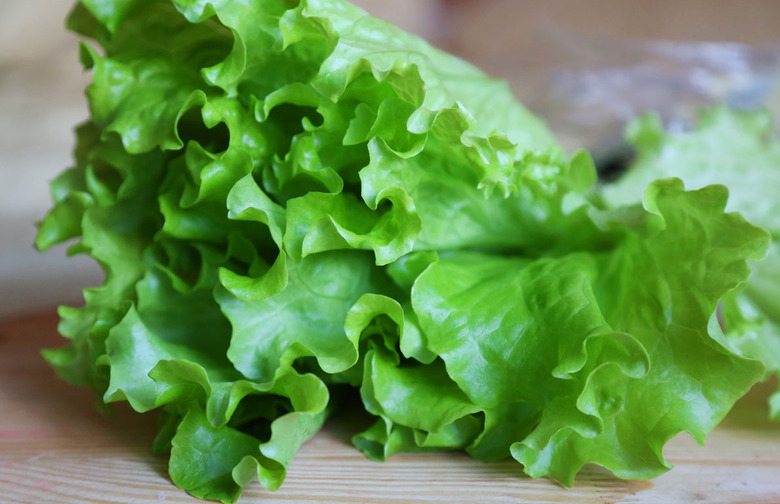 Lettuce Cups