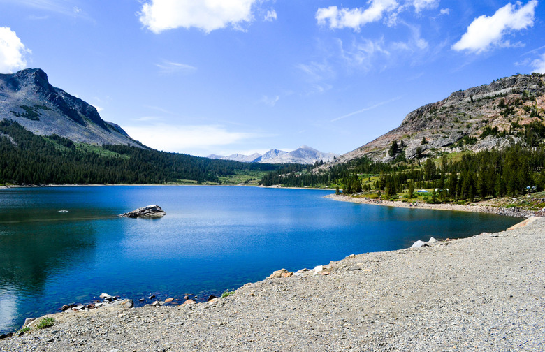 California's National Parks