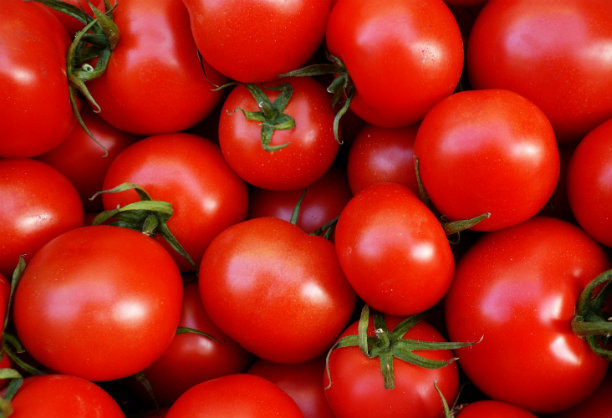 Tomatoes