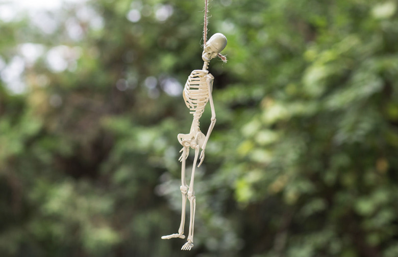 Hanging Skeleton