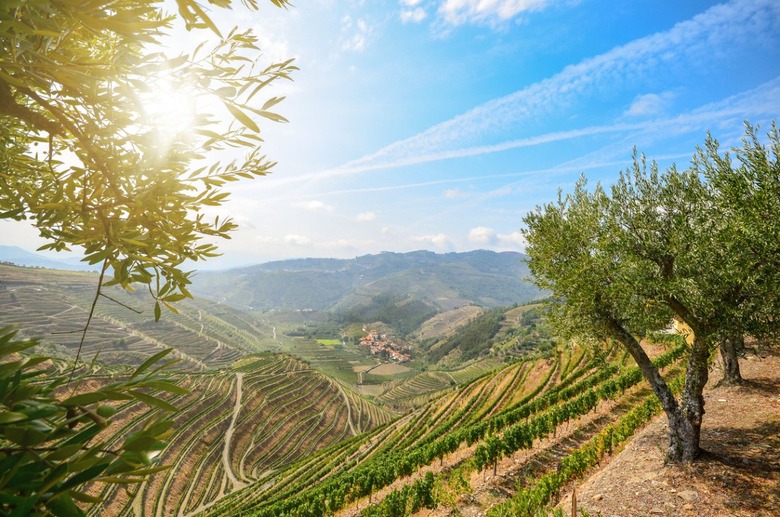 Vinho Verde Has a Tourist-Friendly Wine Route	