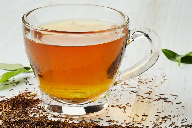 Rooibos