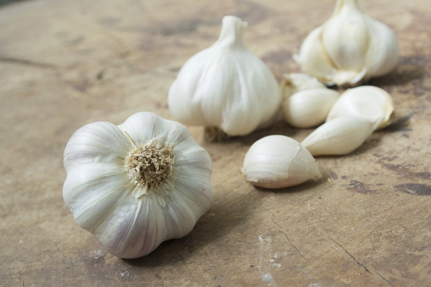 Garlic 