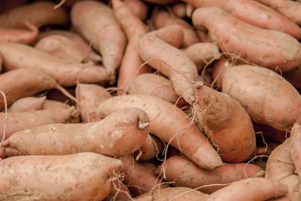 Sweet Potatoes