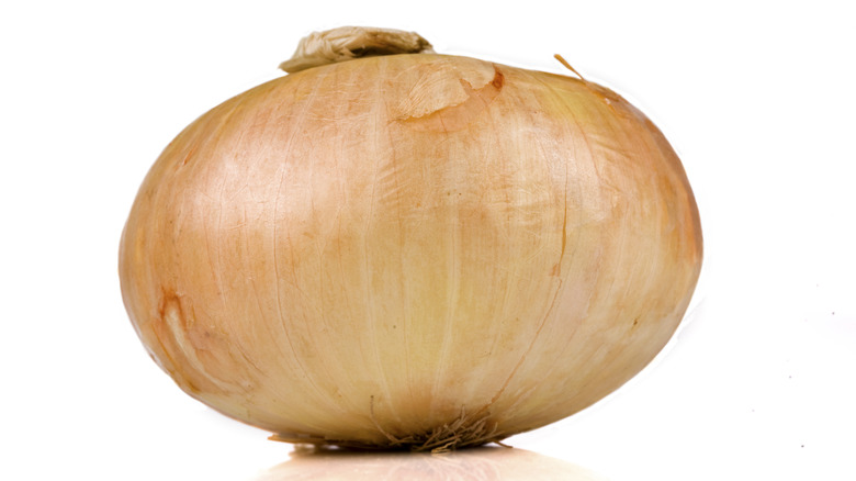 sweet onion on white background