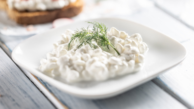 Cottage cheese and fresh dill