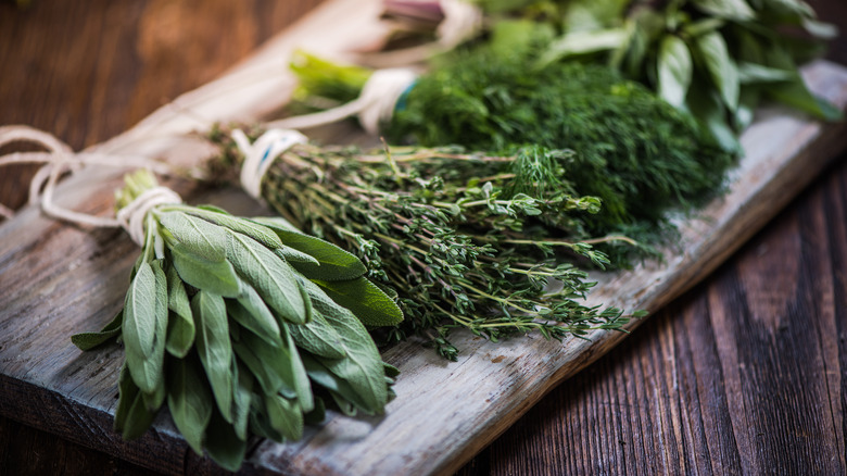 Fresh sage, thyme, dill bundles