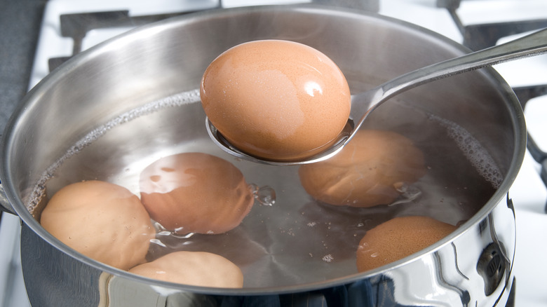 hard-boiled egg on spoon