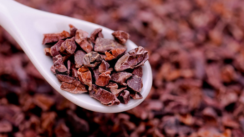 Close-up cacao nibs on white spoon