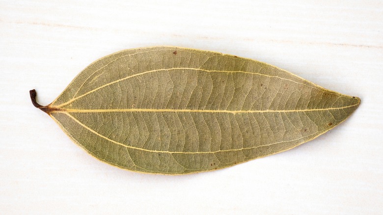 Indian bay leaf