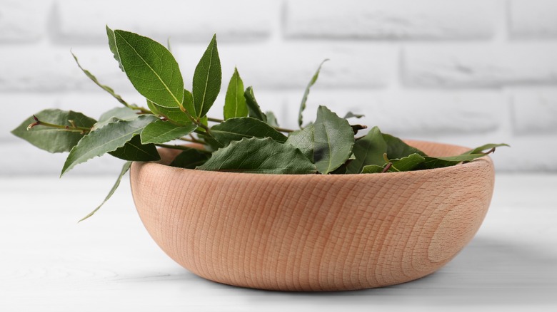 Bowl of fresh bay leaves