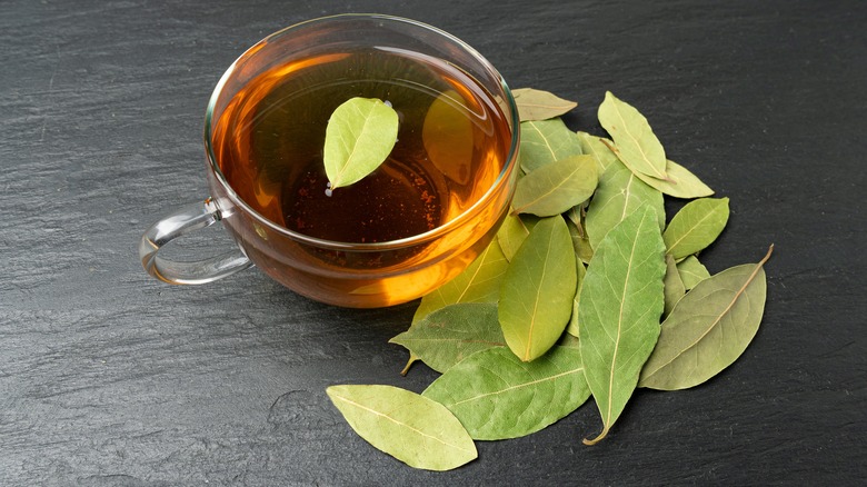 Cup of bay leaf tea