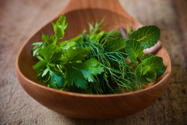 Fresh Herbs