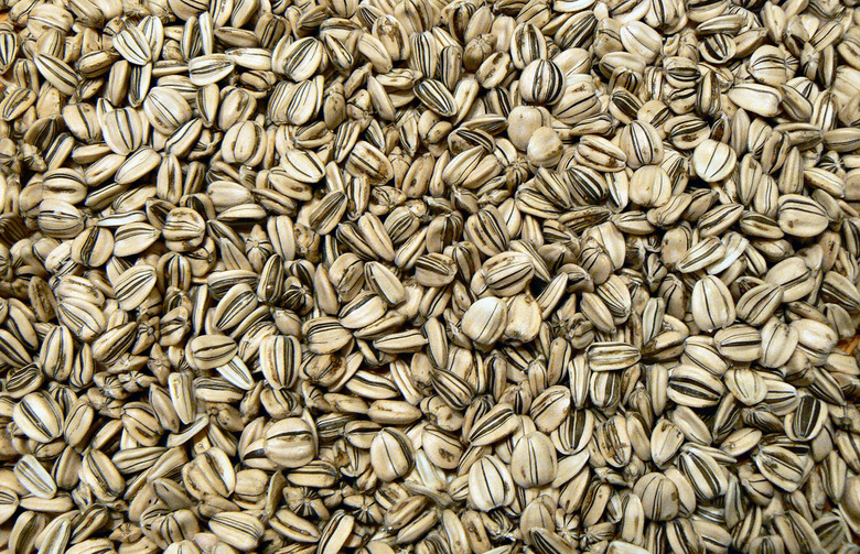 Seeds