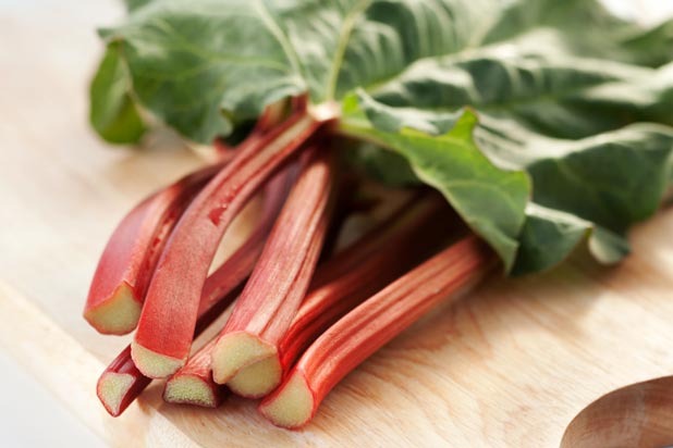 Rhubarb Leaves