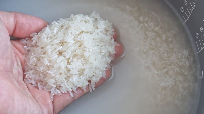 Person washing rice