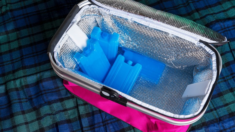 cooler bag with ice packs