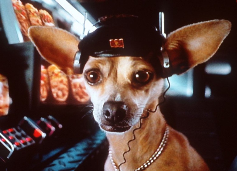 The Taco Bell Chihuahua's Name Was Gidget