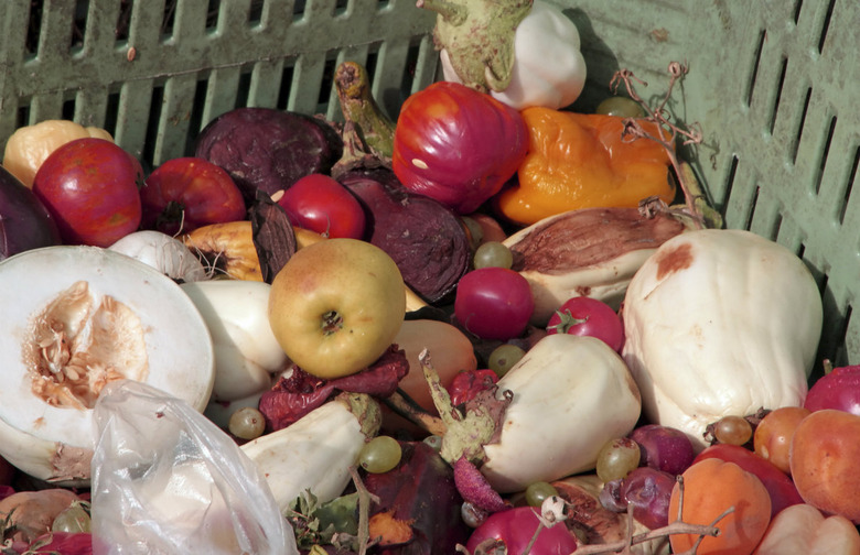 Food Waste 