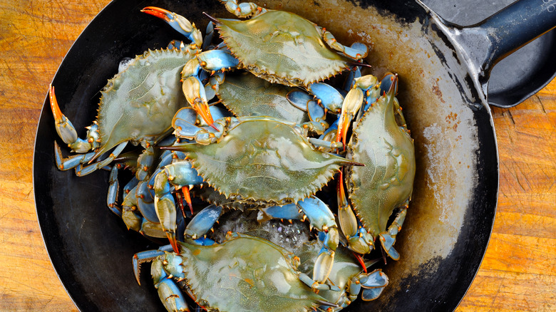 Fresh blue crabs in pan