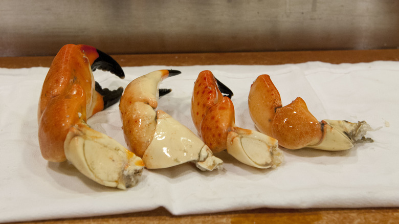 Different sized stone crab claws