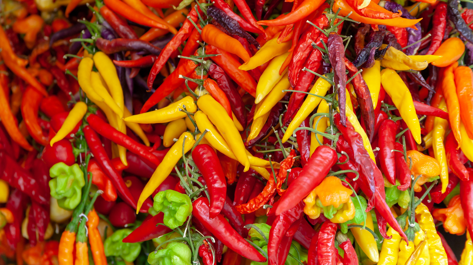 A Brief History of Chili Peppers from 6,100 Year Ago to Today