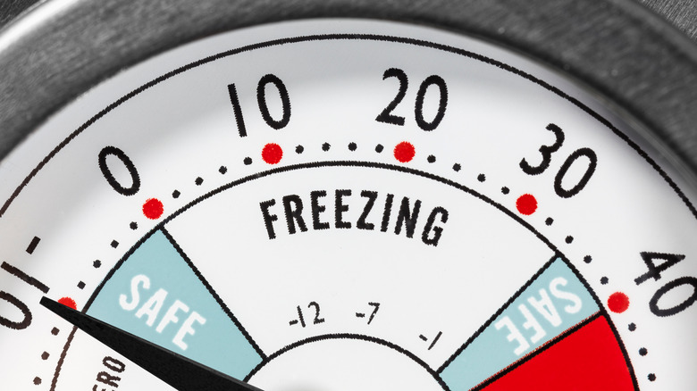 Appliance thermometer