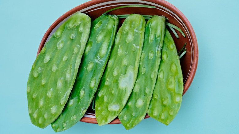 fresh nopales without spines