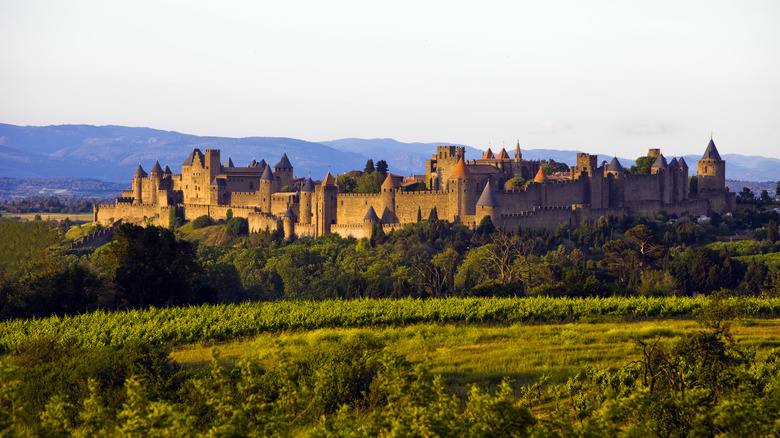 Vineyards by Carcassonne 