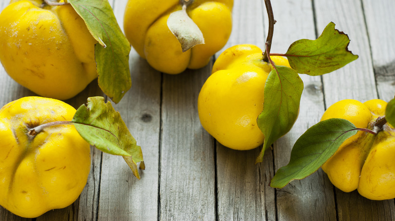 recently picked fresh quinces