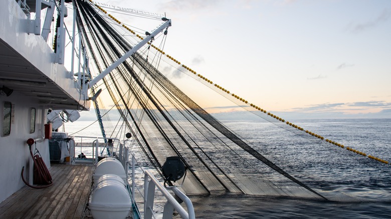 View from a fishing boat