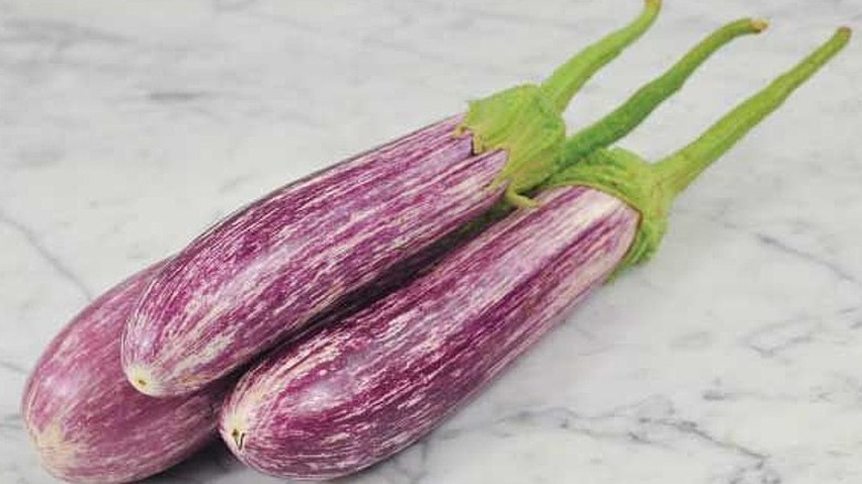 Antigua eggplants on countertop