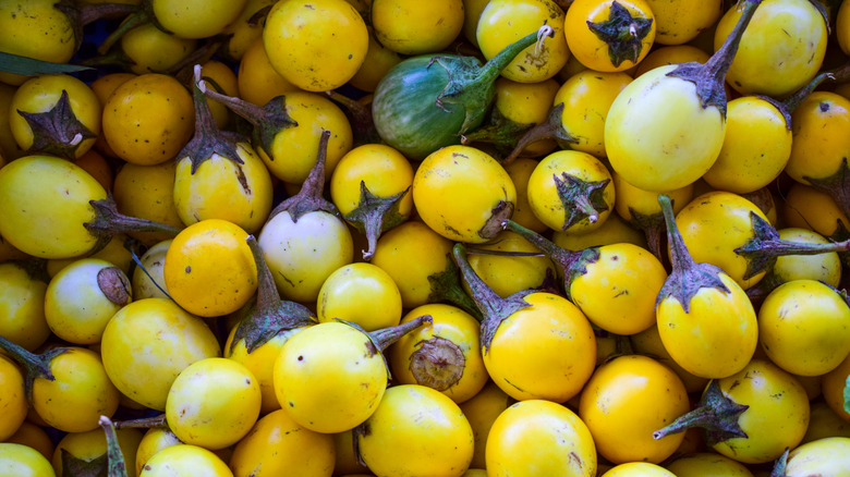 Pile of Baby Yellow eggplants