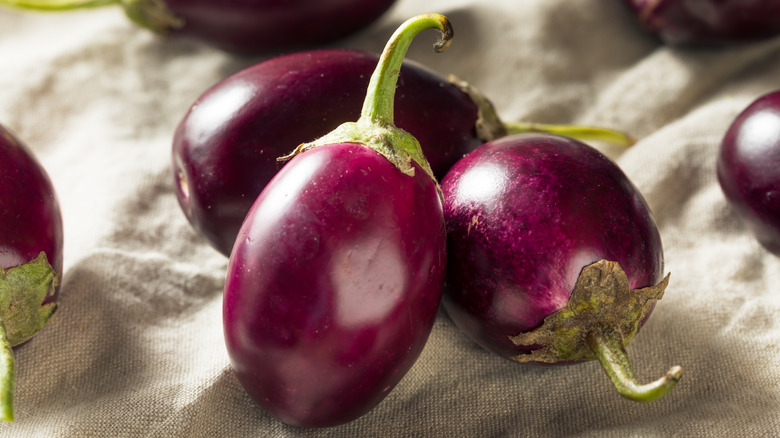 Close-up of Indian eggplant