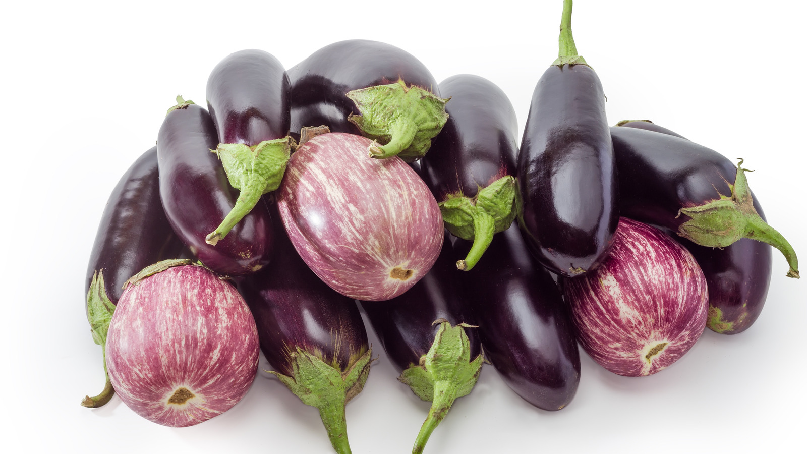 A Beginner S Guide To The Wide World Of Eggplant Varieties