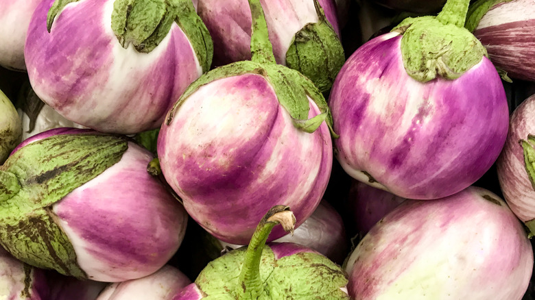 Close-up of Rosa Bianca eggplants