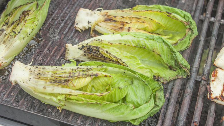 Grilled romaine lettuce