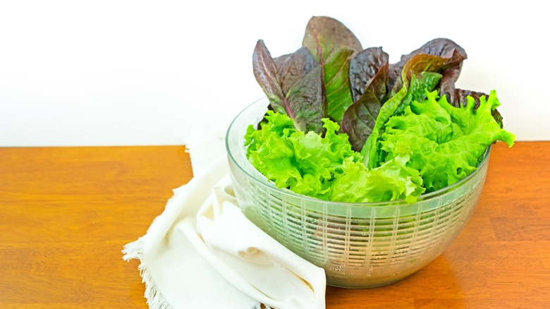 Washed and dried lettuce