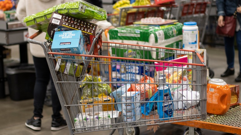 Costco shopping cart filled with items