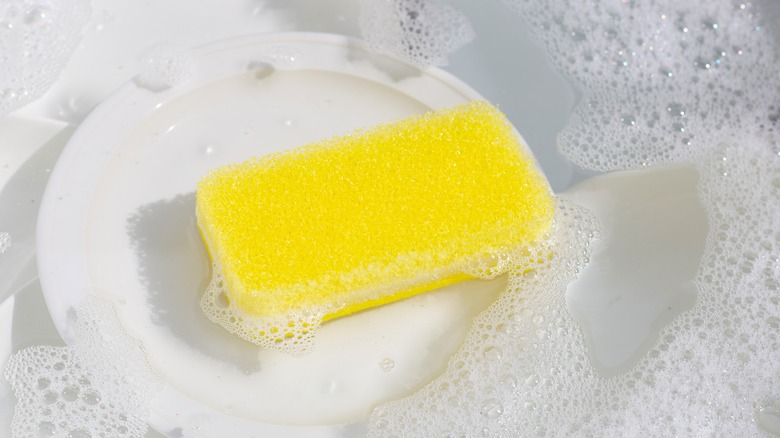 Here's How Dirty Kitchen Sponges Really Are