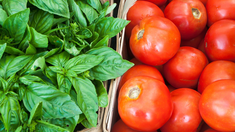 Fresh basil and tomatoes at the market