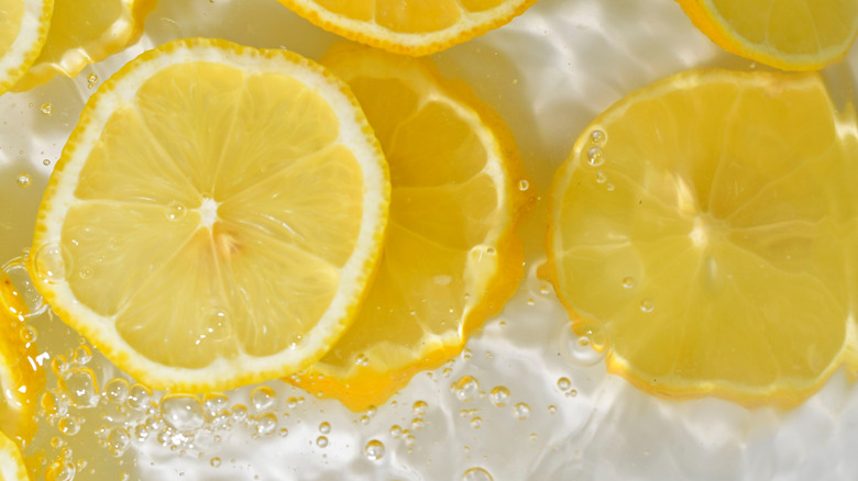 Slices of lemon on ice