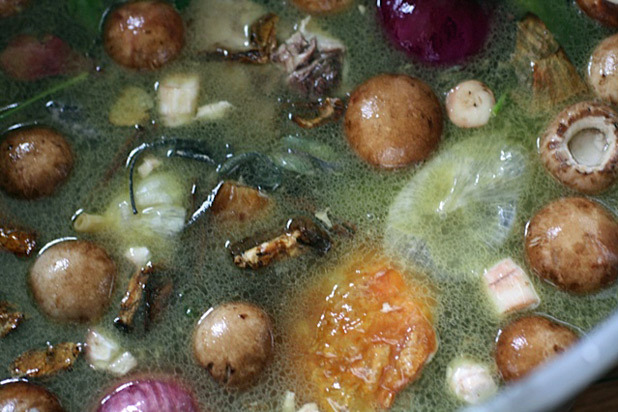 Turkey Stock