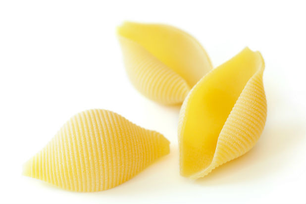 Conchiglie