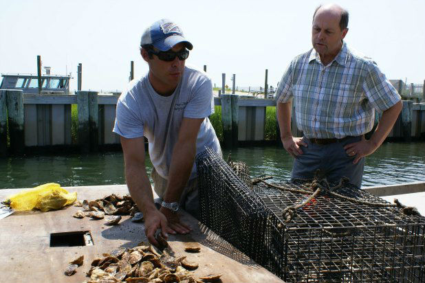 Harvest Moon Oysters