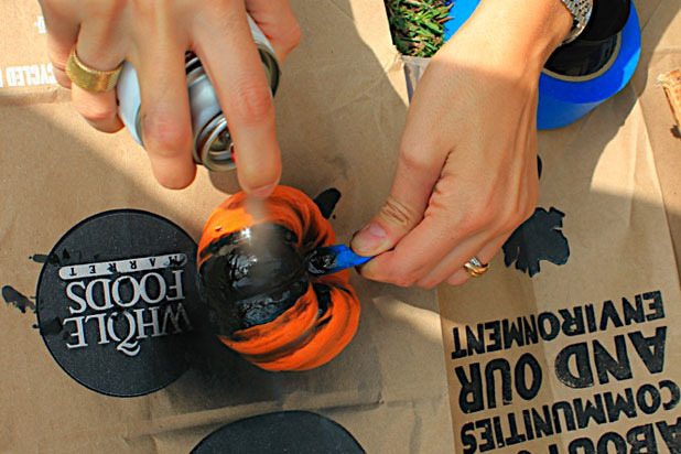 3. Spray-Paint the Pumpkins