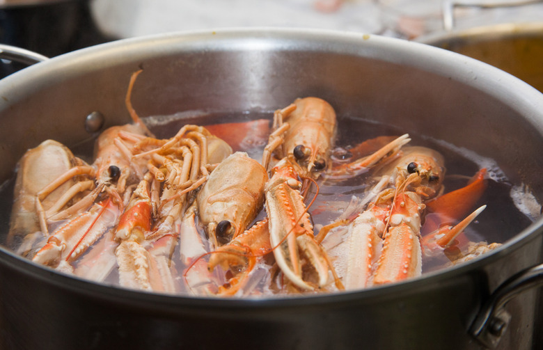 Crustaceans Simmer in a Pot of Water