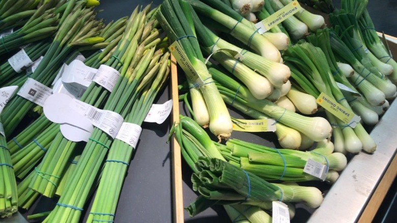 Spring onions and daffodils